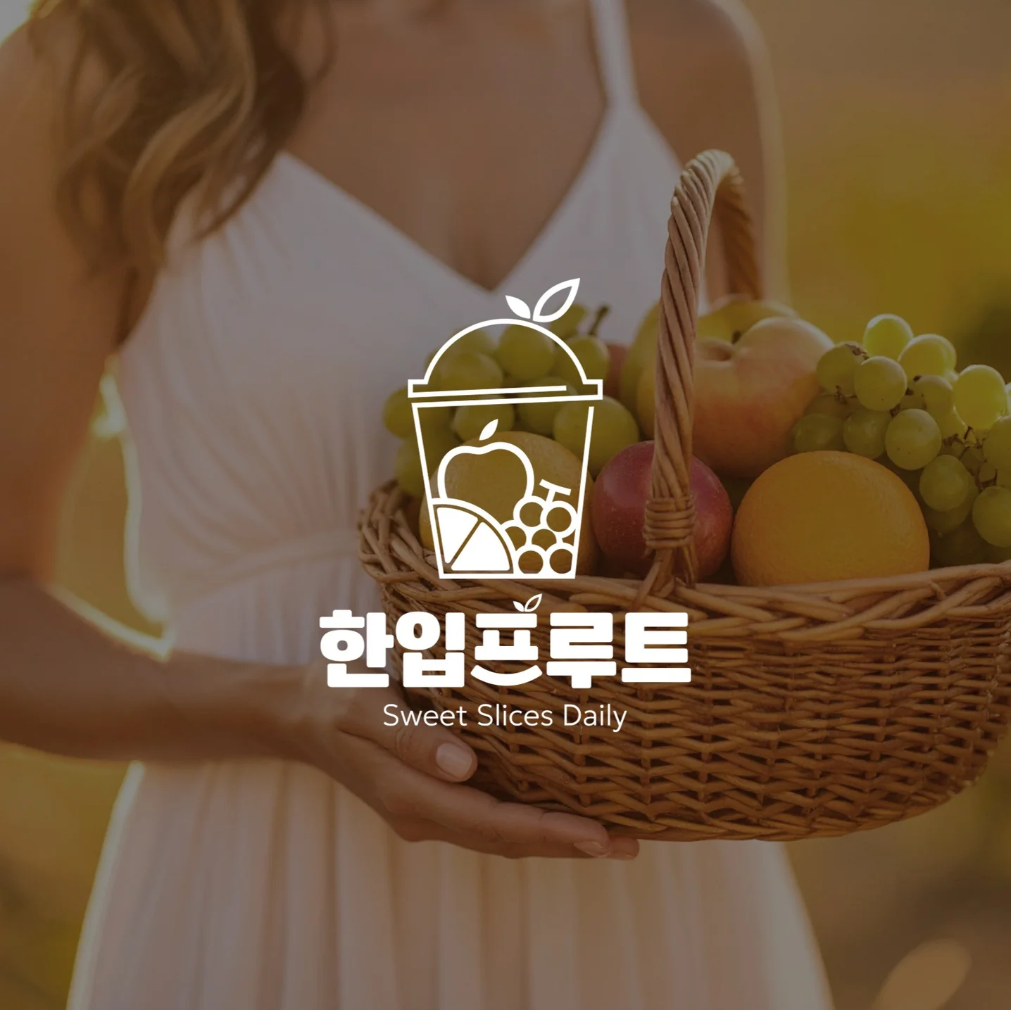 포트폴리오 메인이미지