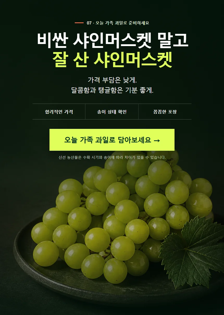 디자인 포트폴리오