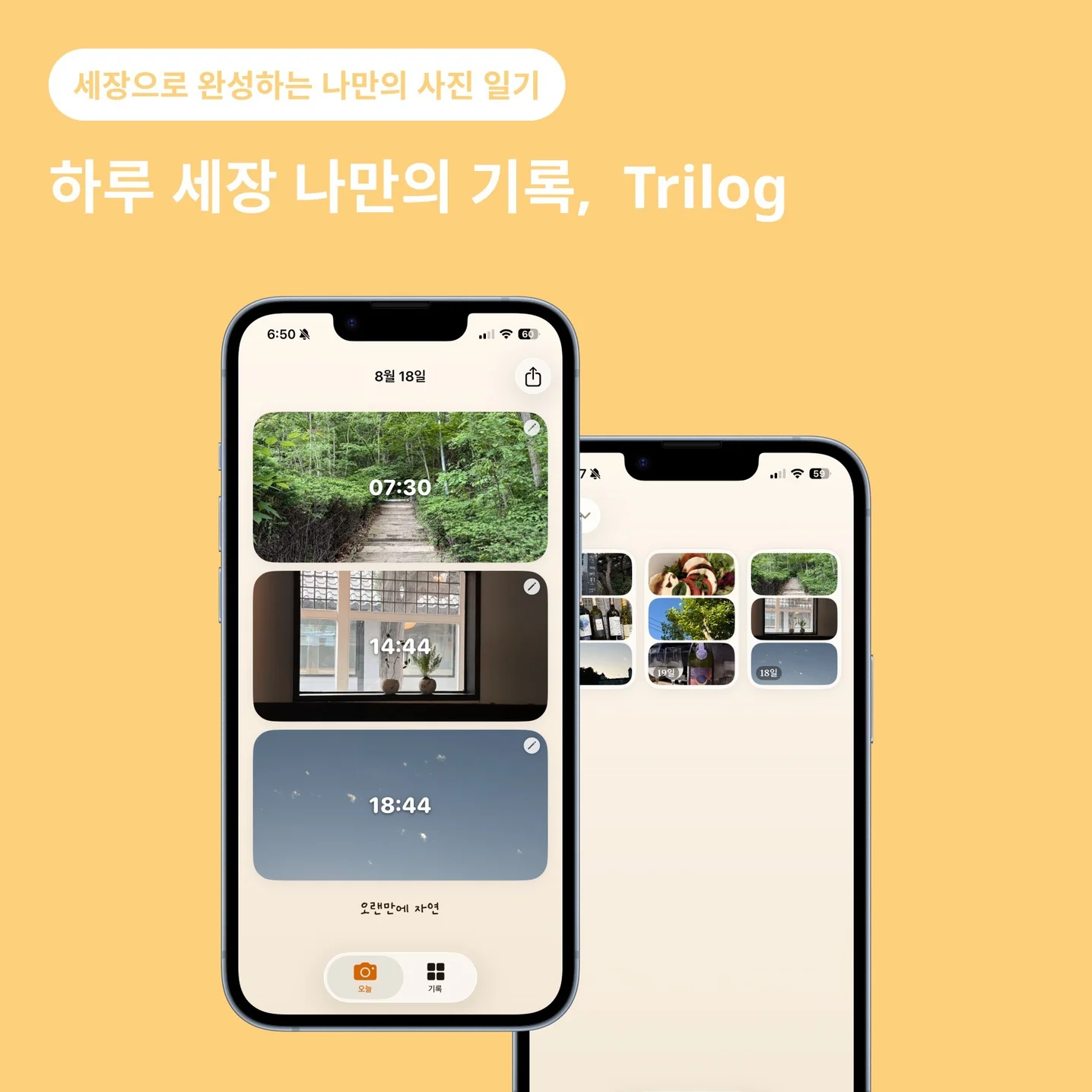 포트폴리오 메인이미지