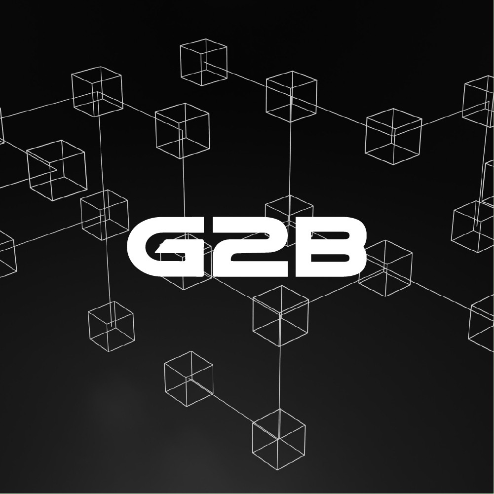 포트폴리오-G2B 로고 디자인