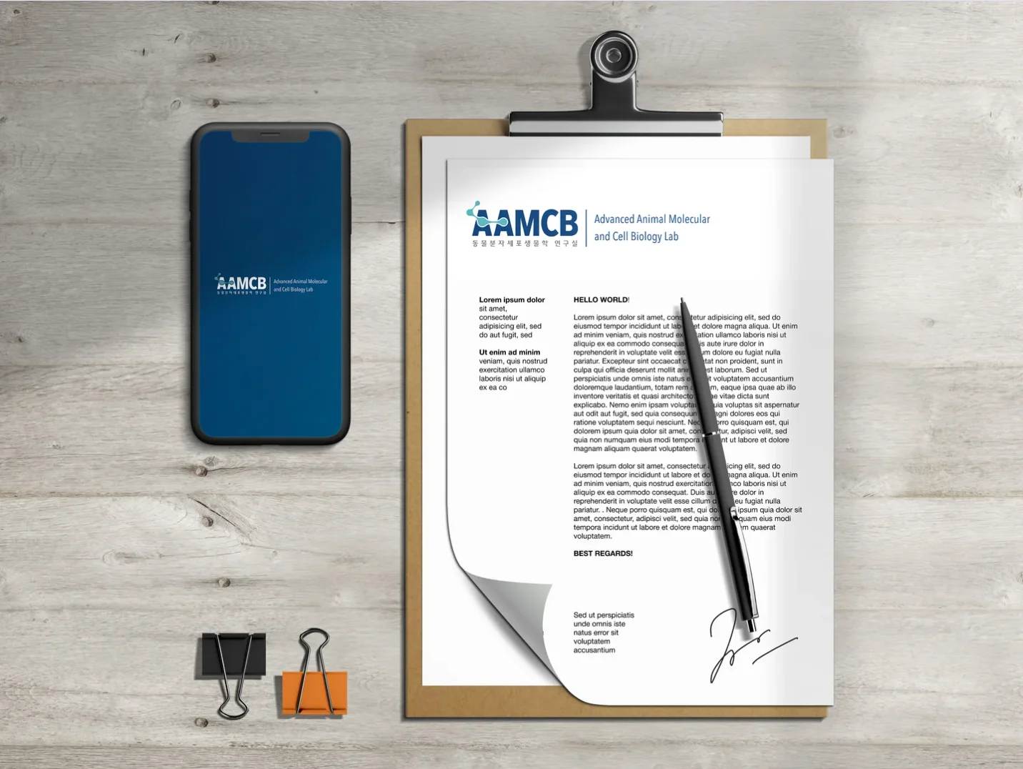 디자인 포트폴리오