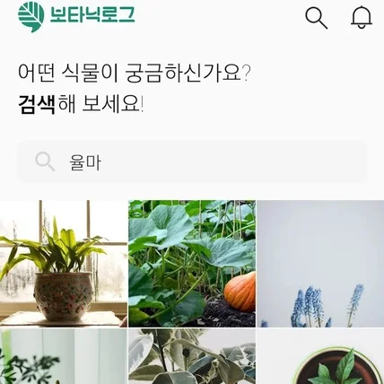 포트폴리오-식물 키우기 커뮤니티 앱