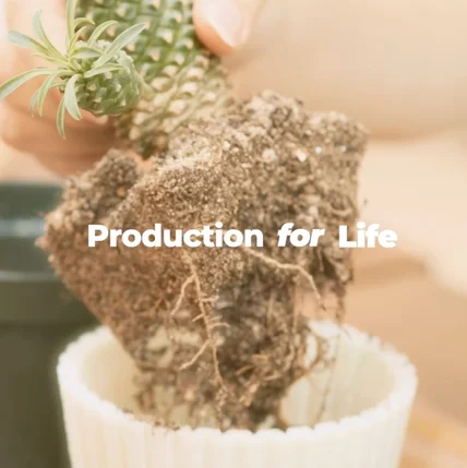 포트폴리오-[기획/촬영/조명/편집] 유성구 청년마을 브랜드필름 'production for life'