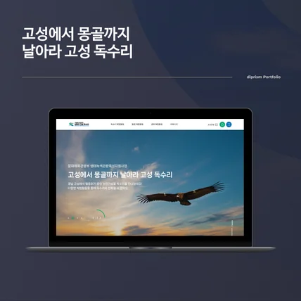 포트폴리오-고성에서 몽골까지 날아라 고성 독수리