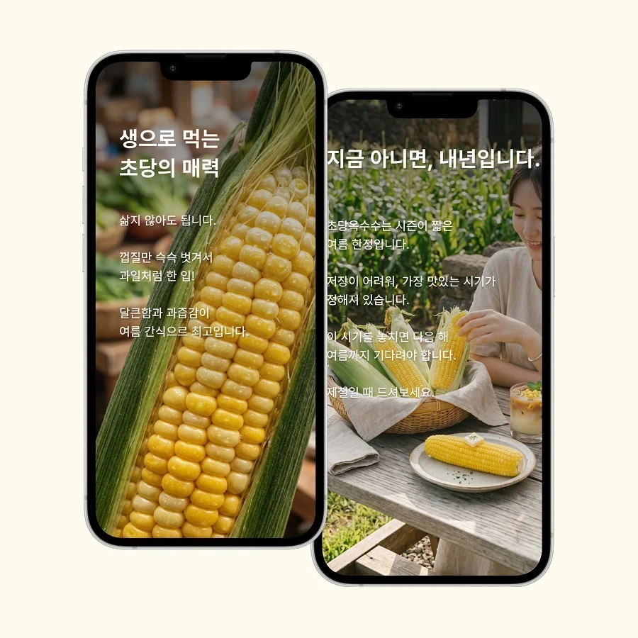 포트폴리오 메인이미지