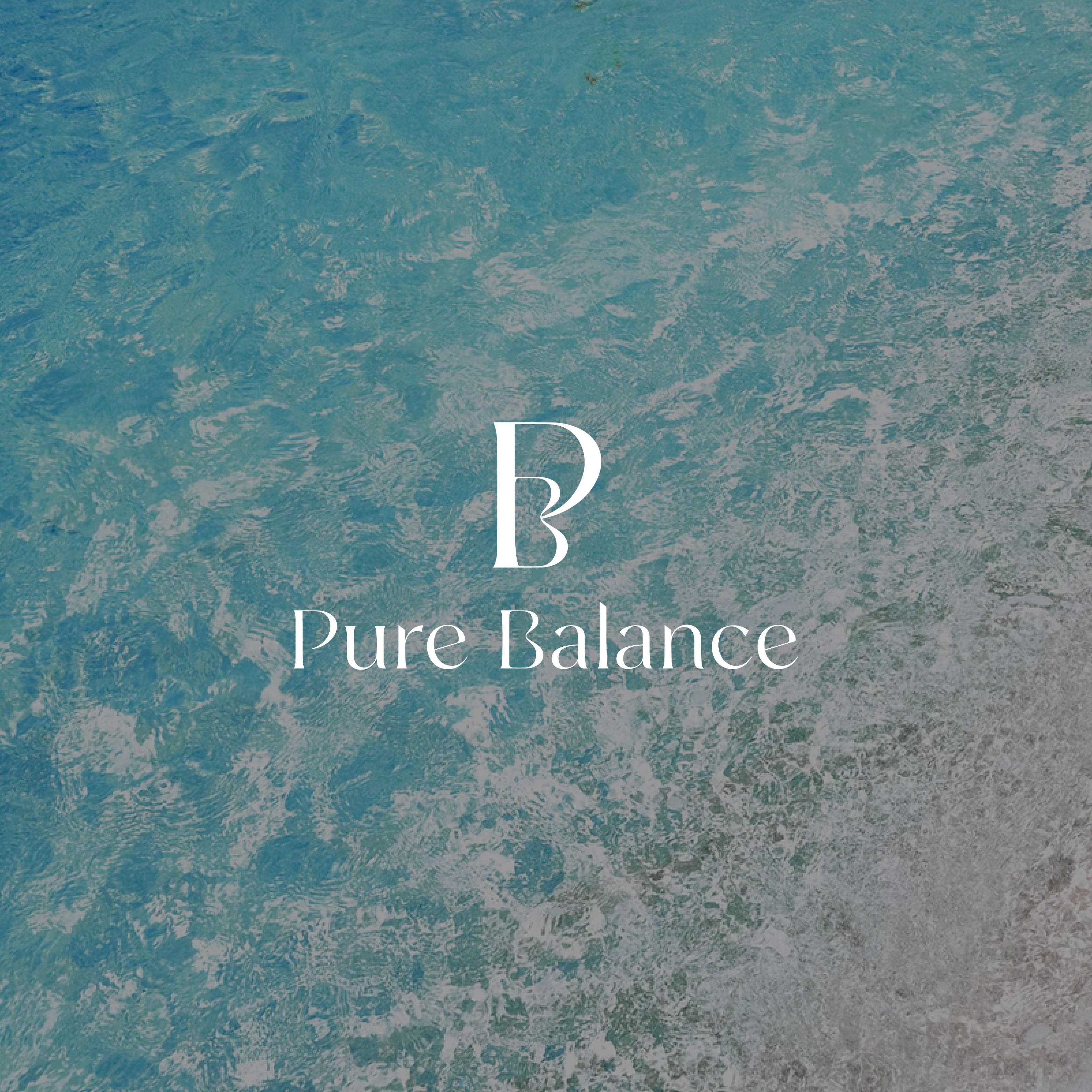 포트폴리오-" Pure Balance "