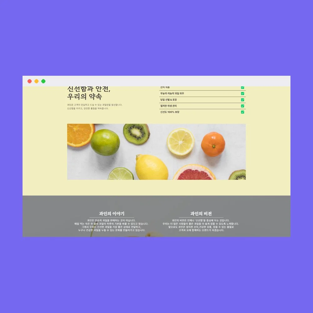 디자인 포트폴리오