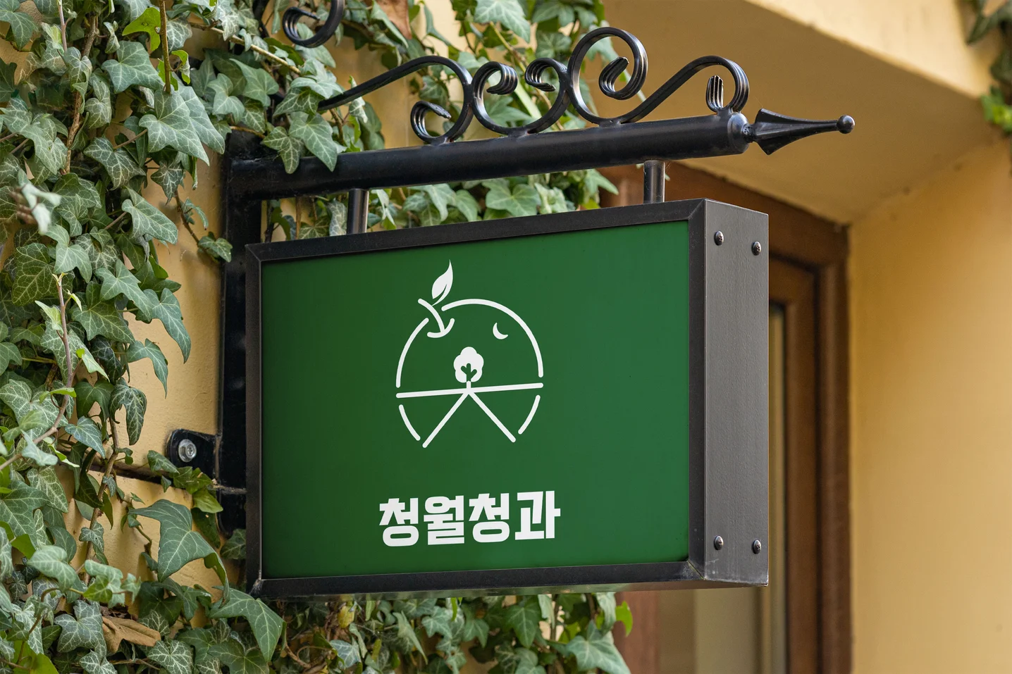 디자인 포트폴리오