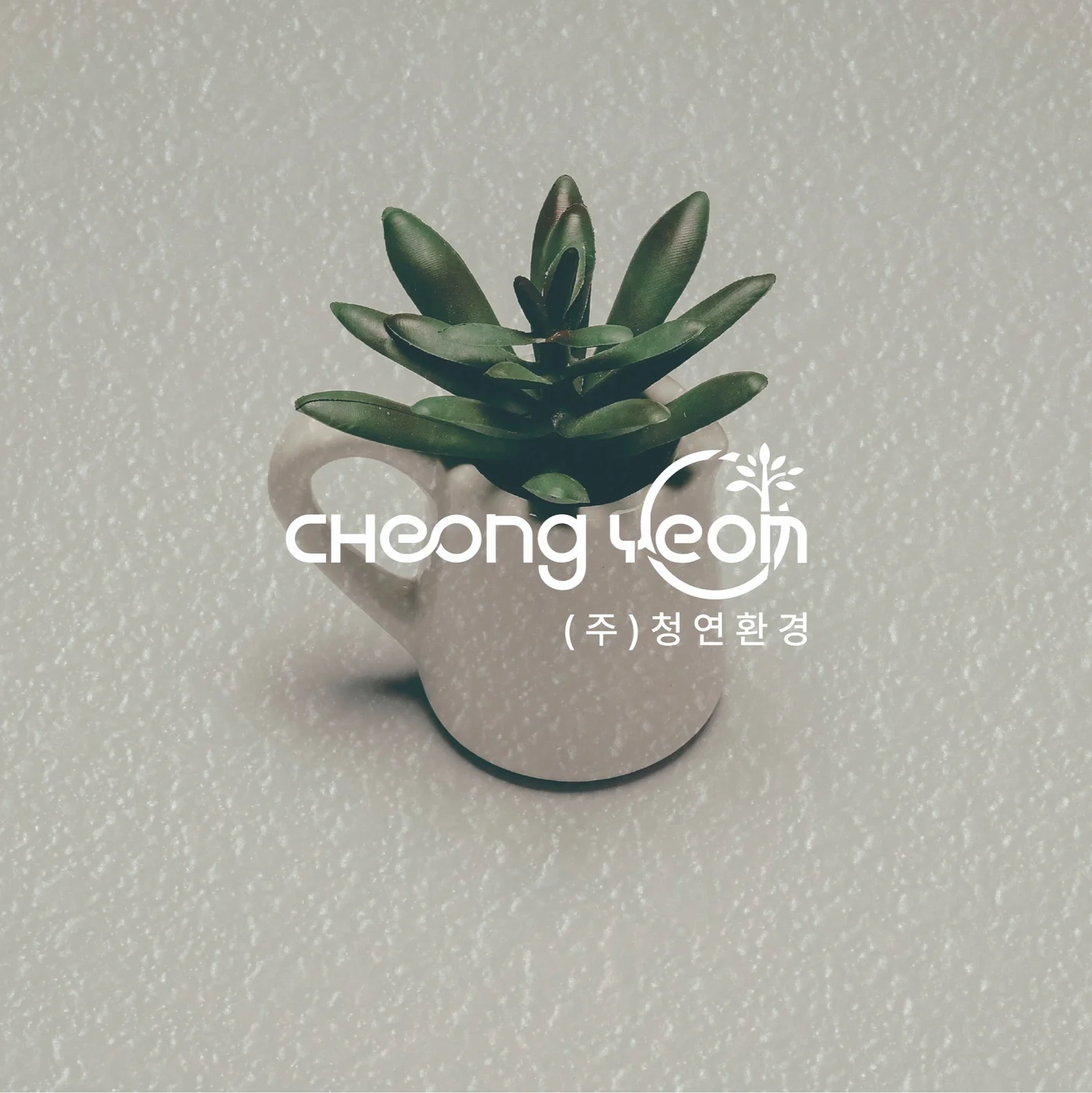 포트폴리오 메인이미지