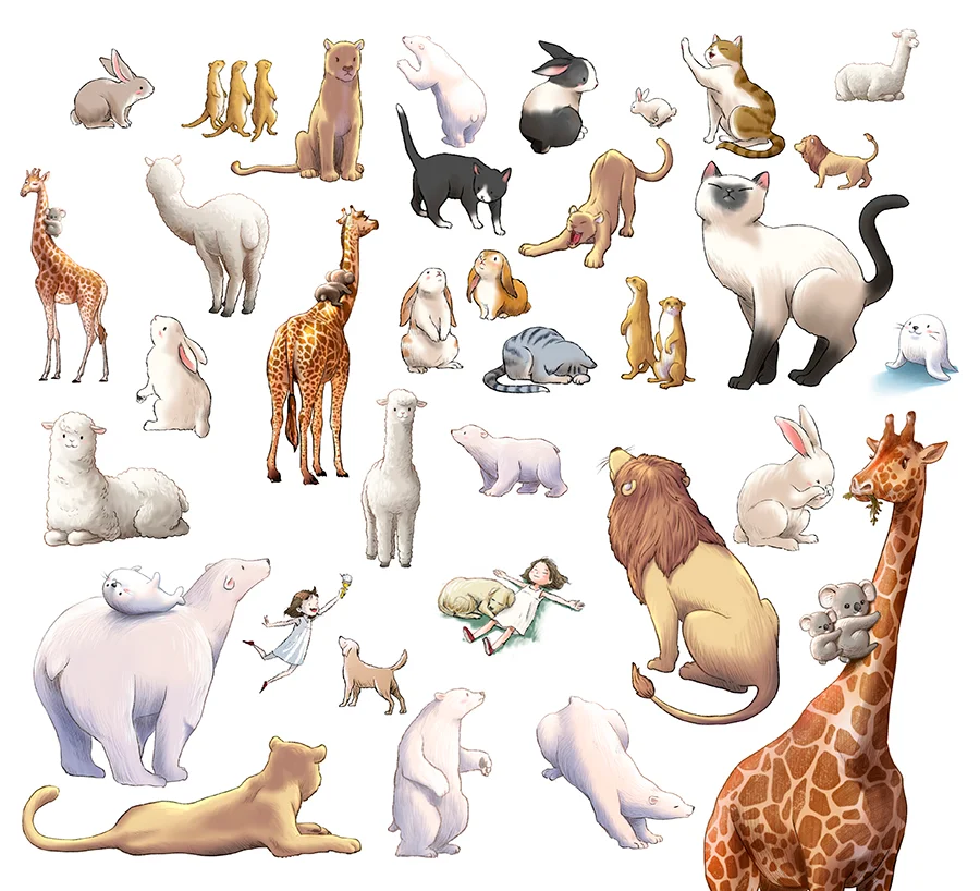 디자인 포트폴리오