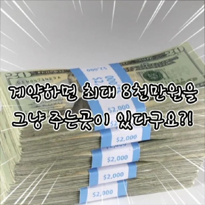 포트폴리오 메인이미지