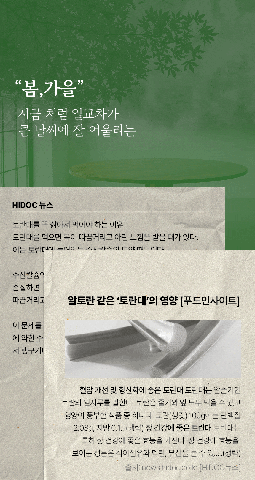 디자인 포트폴리오