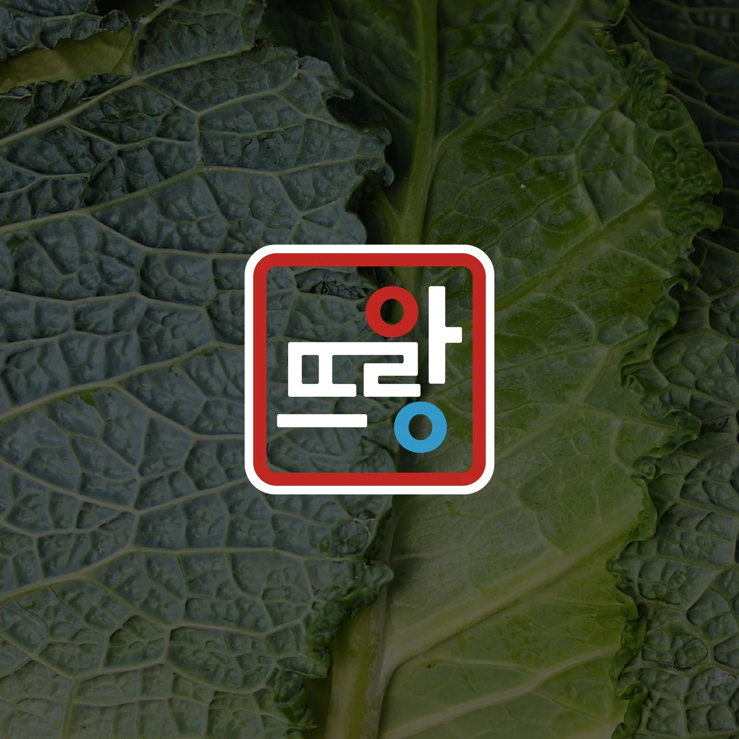 포트폴리오 메인이미지