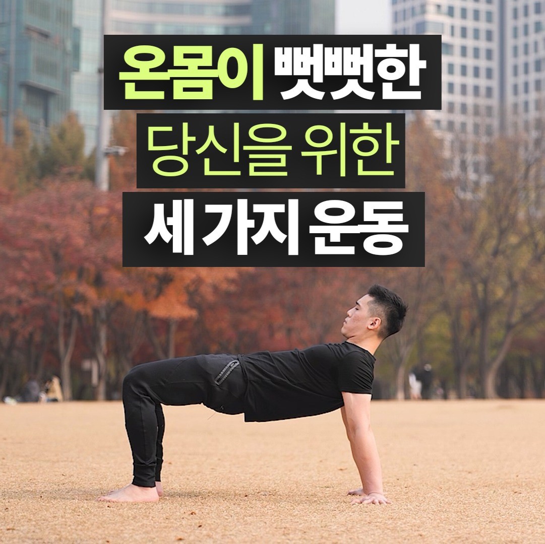 포트폴리오-유튜브 채널 제프 코치의 "온몸이 뻣뻣한 당신을 위한 세 가지 운동"