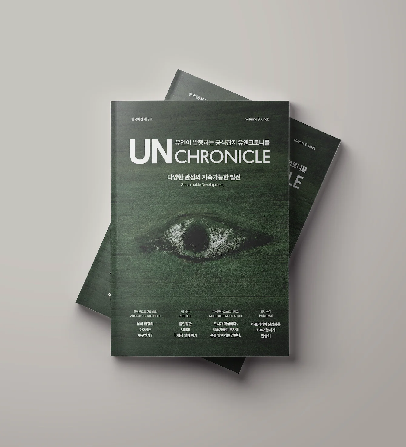 디자인 포트폴리오