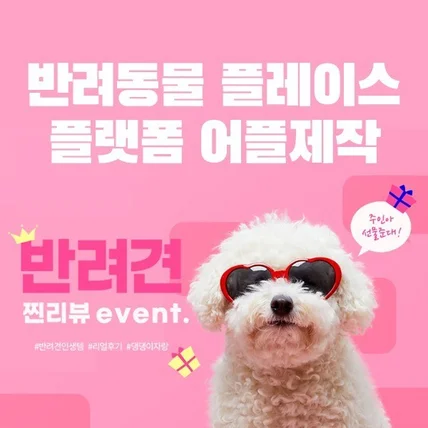 포트폴리오-반려동물 어플제작