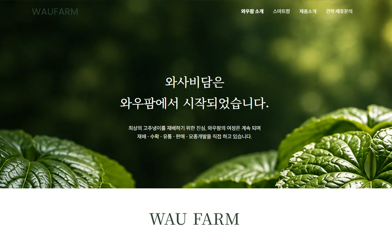 디자인 포트폴리오