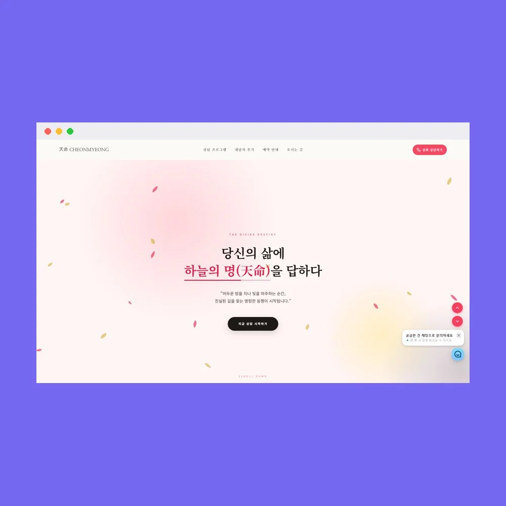 디자인 포트폴리오
