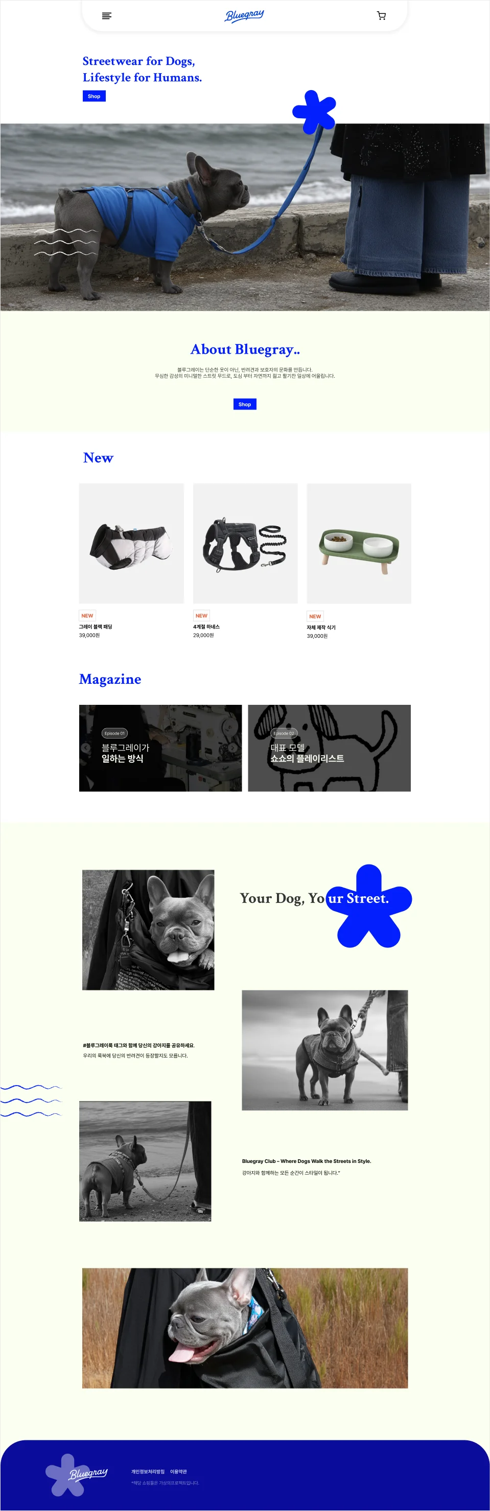 디자인 포트폴리오