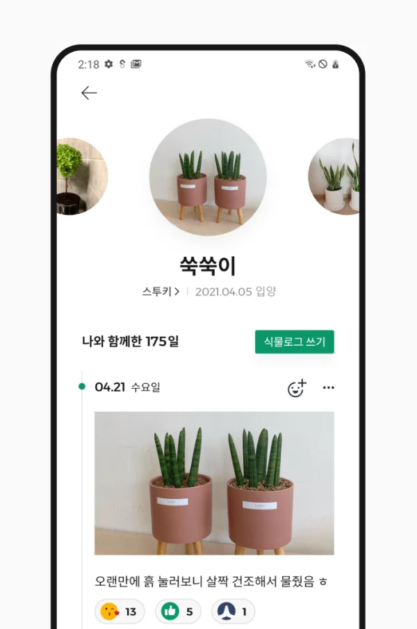 디자인 포트폴리오