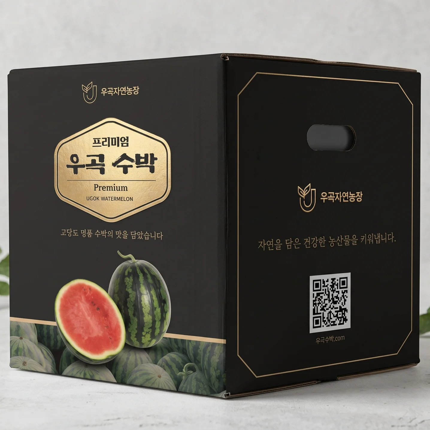 포트폴리오 메인이미지