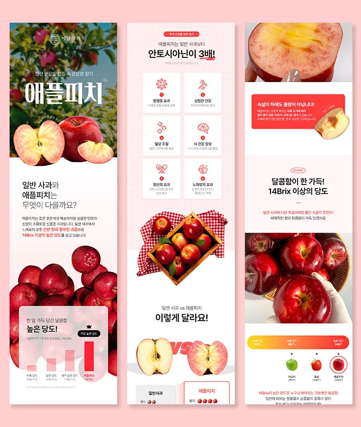디자인 포트폴리오