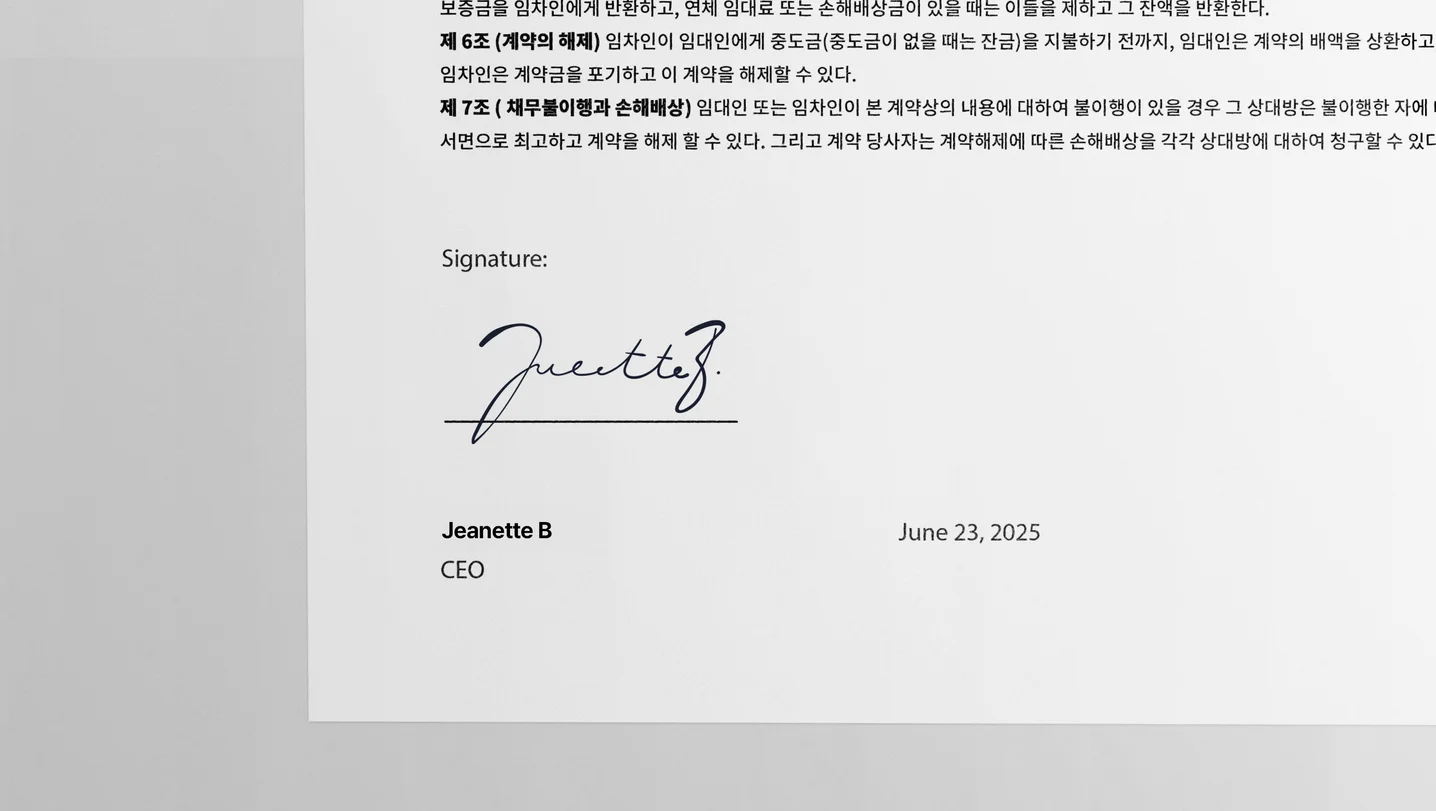 디자인 포트폴리오