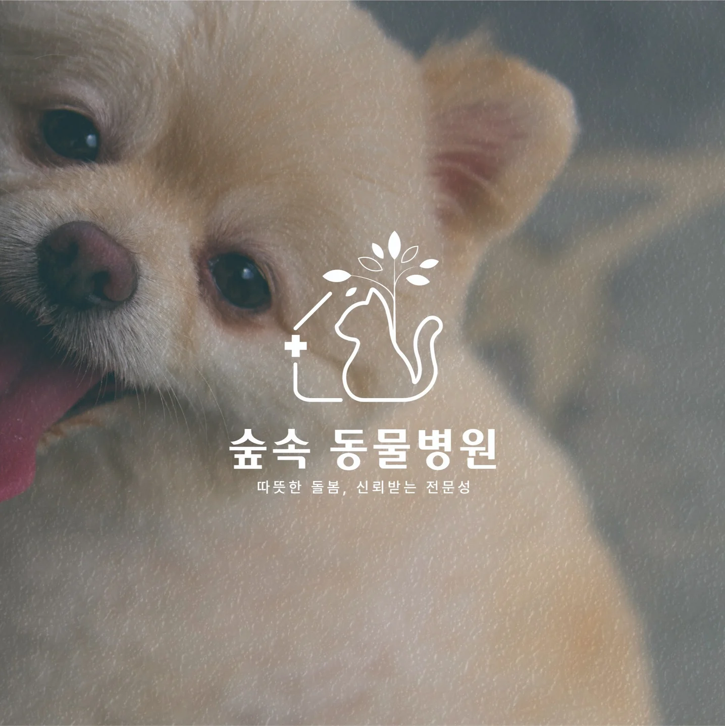 포트폴리오 메인이미지