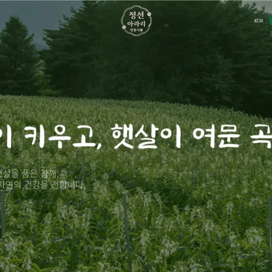 포트폴리오 메인이미지