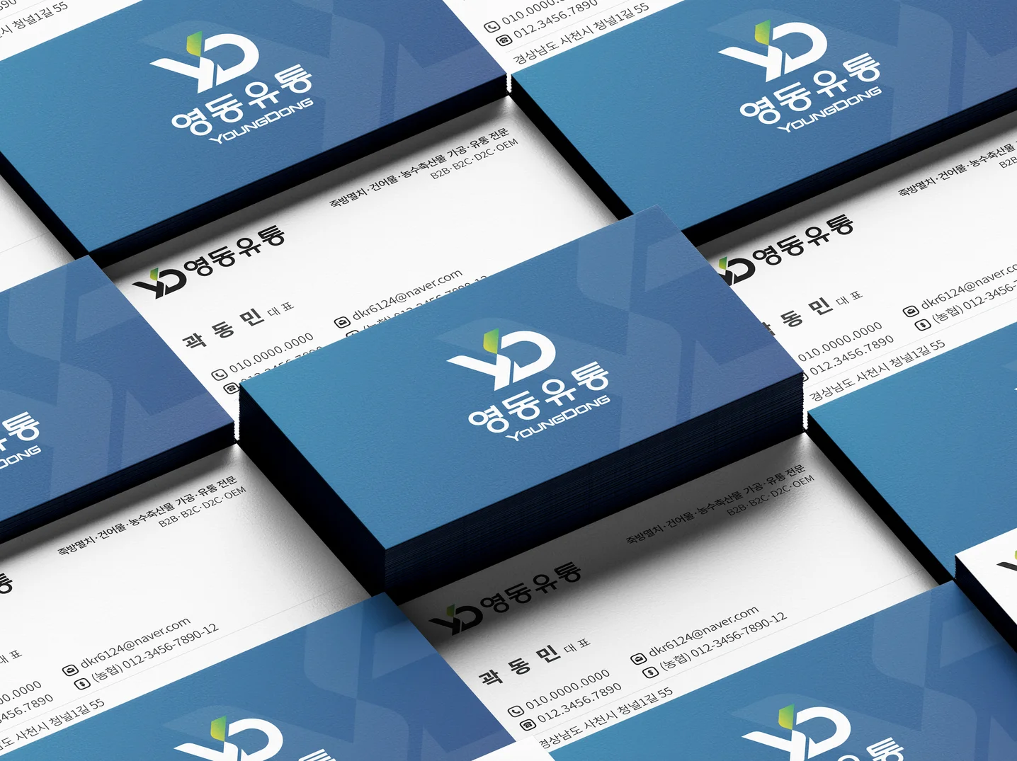 디자인 포트폴리오