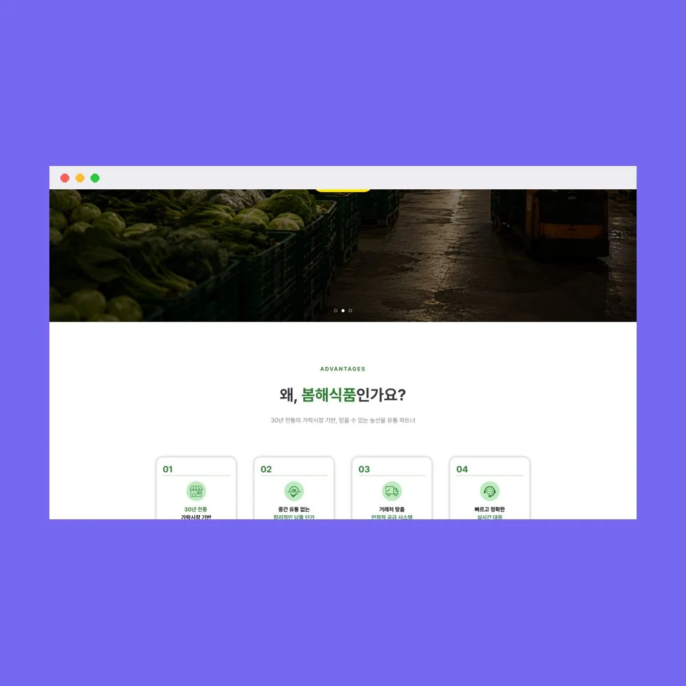 디자인 포트폴리오