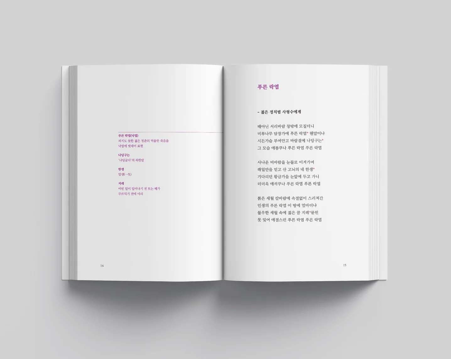 디자인 포트폴리오