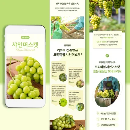 포트폴리오-농산물 과일 샤인머스캣 포도 상세페이지 제작 [상세페이지디자인 위갓제이]