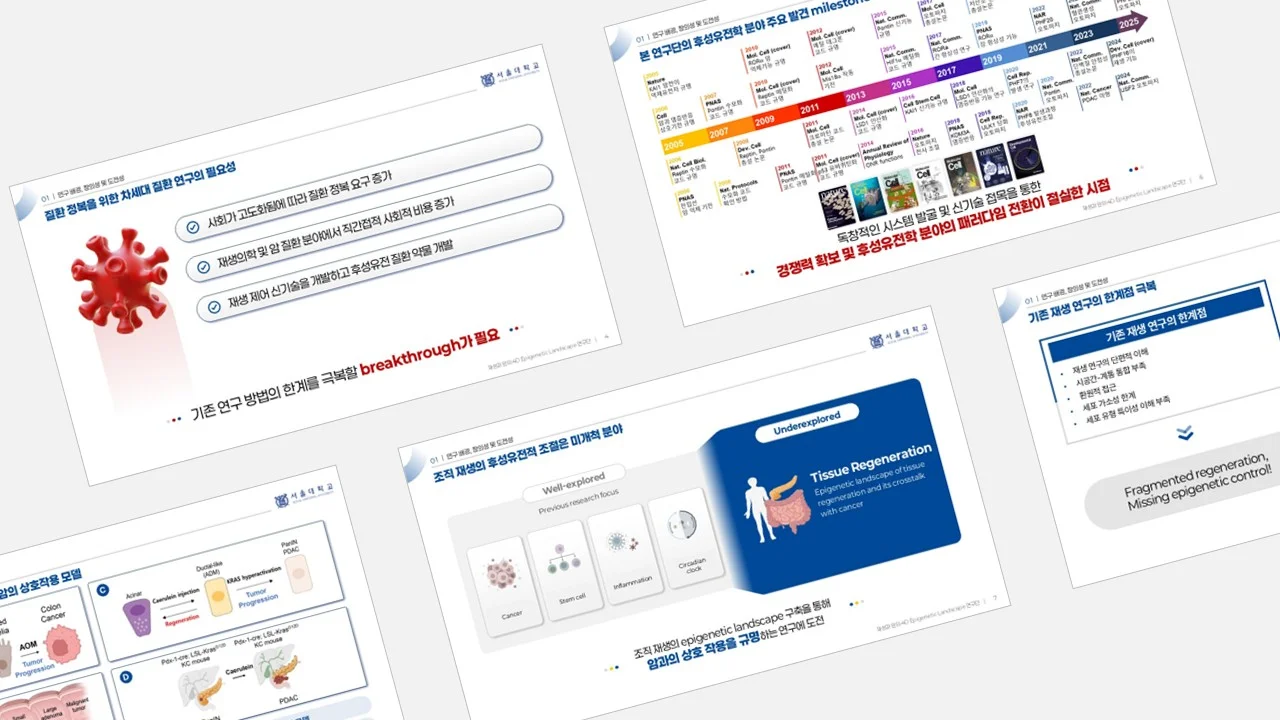 디자인 포트폴리오