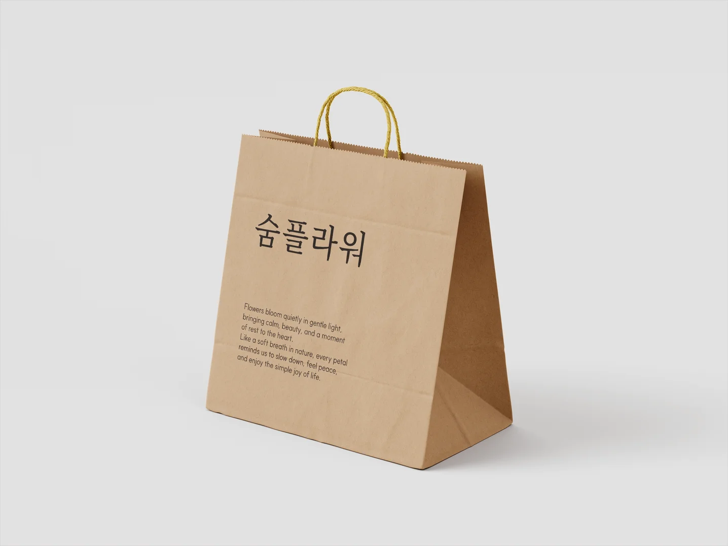 디자인 포트폴리오