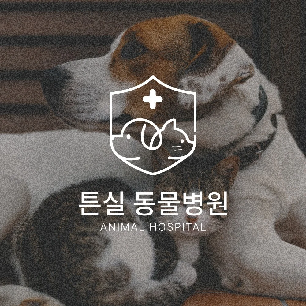 포트폴리오 메인이미지