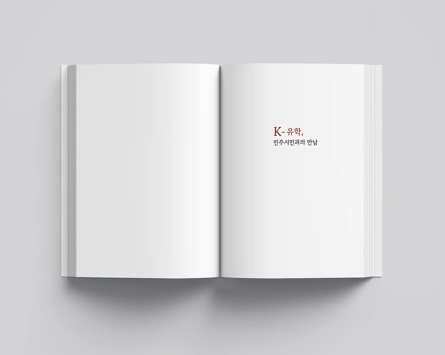 디자인 포트폴리오