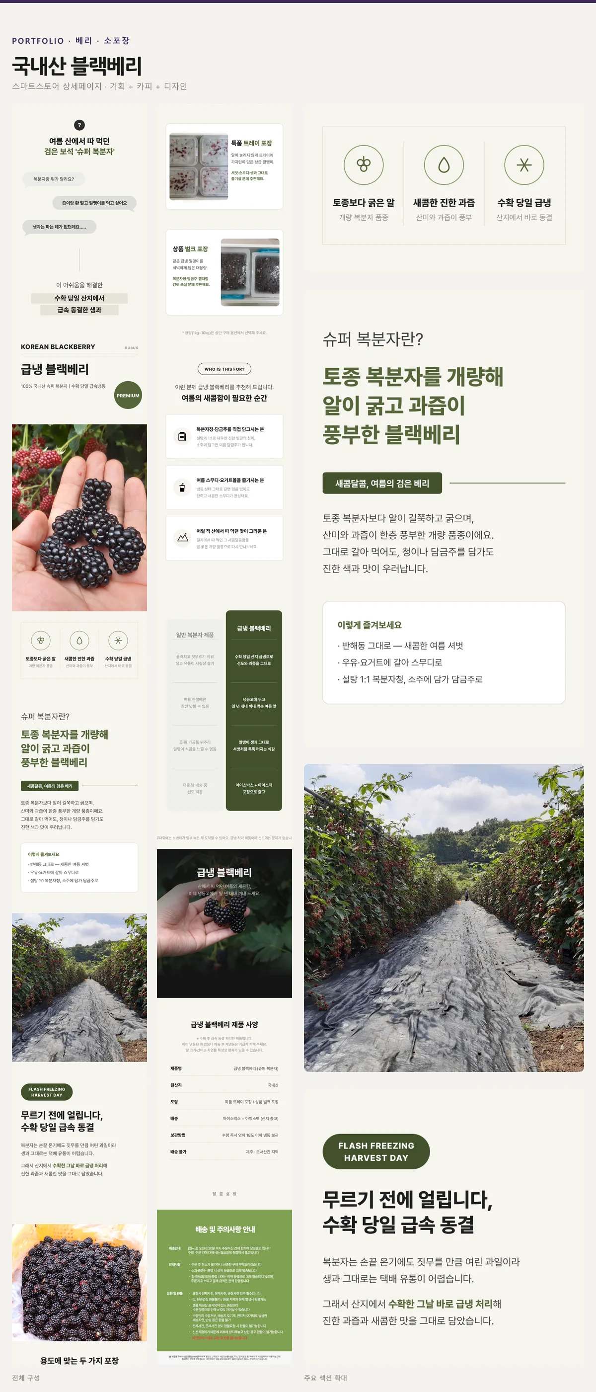 디자인 포트폴리오