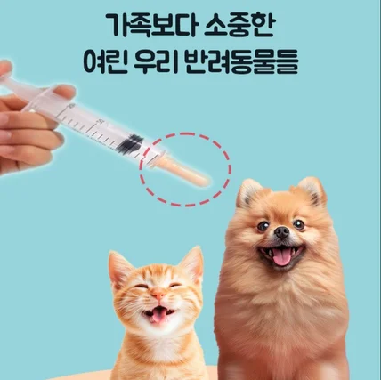 포트폴리오-반려동물의료용품, 동물병원, 강아지, 고양이, 쿠팡, 스마트스토어, 구매대행, 1688