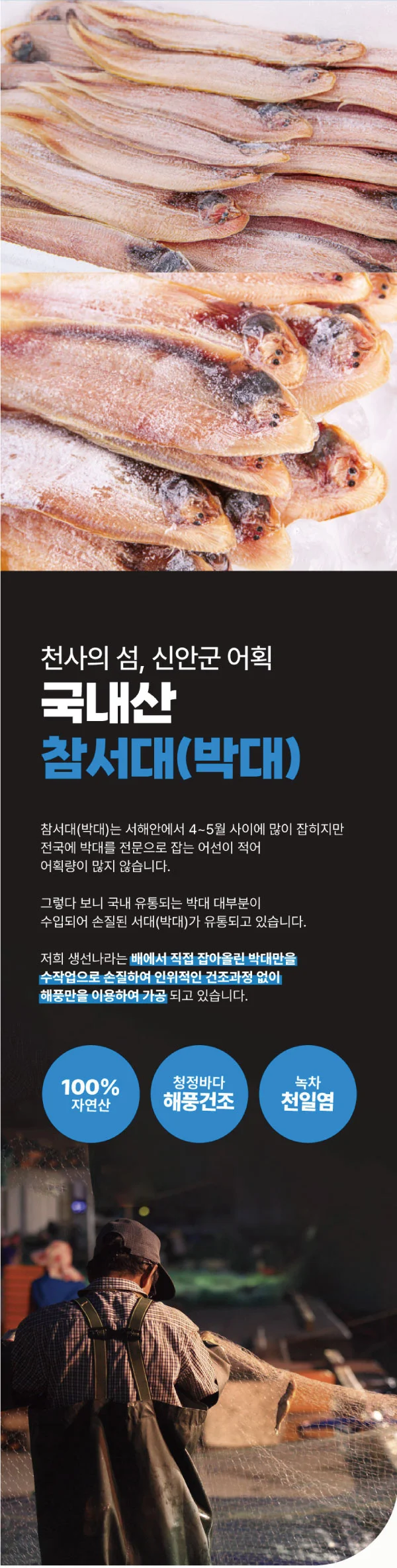 수산물 생선 참서대 박대 해산물 상세페이지 기획/디자인 포트폴리오, 상세페이지 포트폴리오 - 크몽