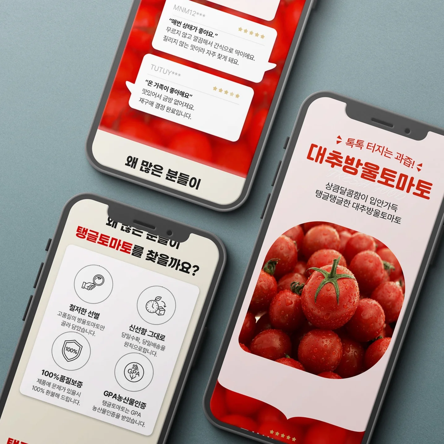 포트폴리오 메인이미지