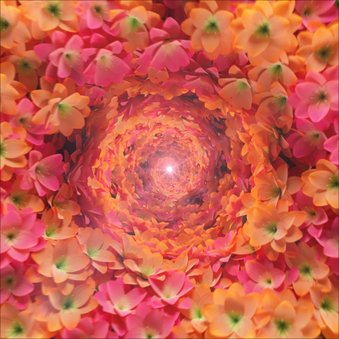 포트폴리오 메인이미지