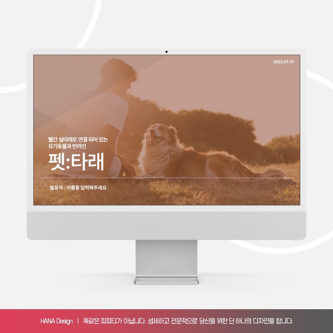 포트폴리오-입양 제도 개선으로 인한 입양률 증가 제안서
