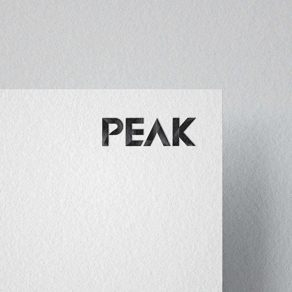 아웃도어 브랜드 로고_PEAK, 로고 디자인 포트폴리오 - 크몽