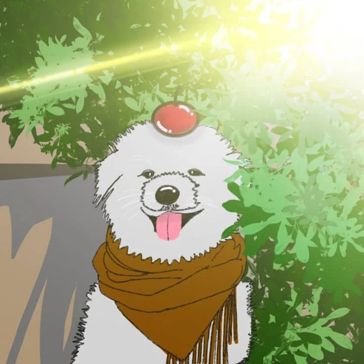 포트폴리오 메인이미지