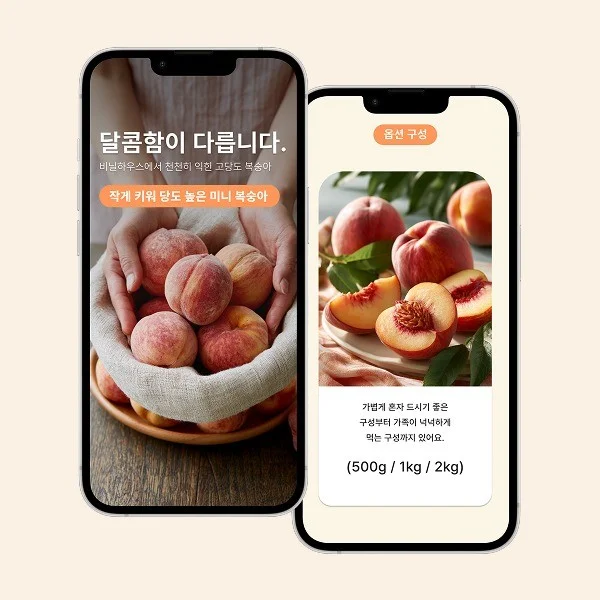 포트폴리오 메인이미지