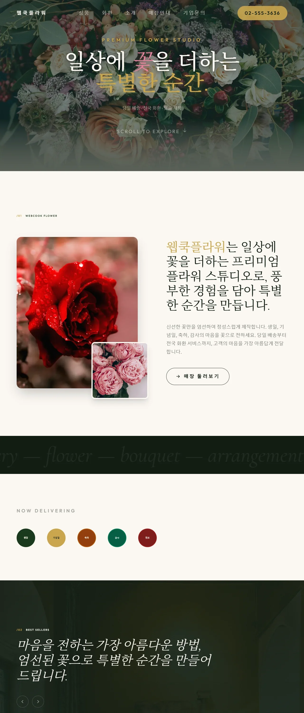 디자인 포트폴리오