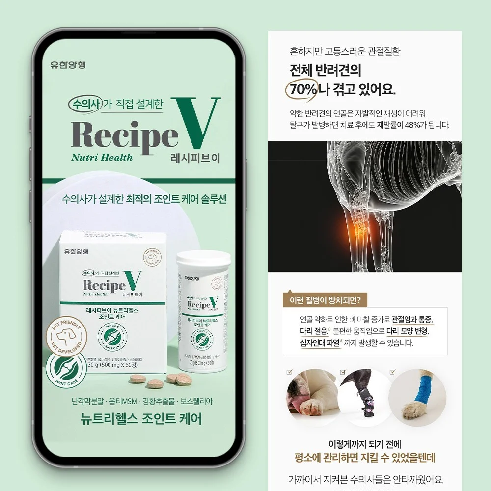 포트폴리오 메인이미지