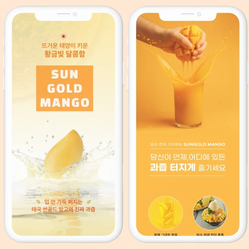 포트폴리오 메인이미지