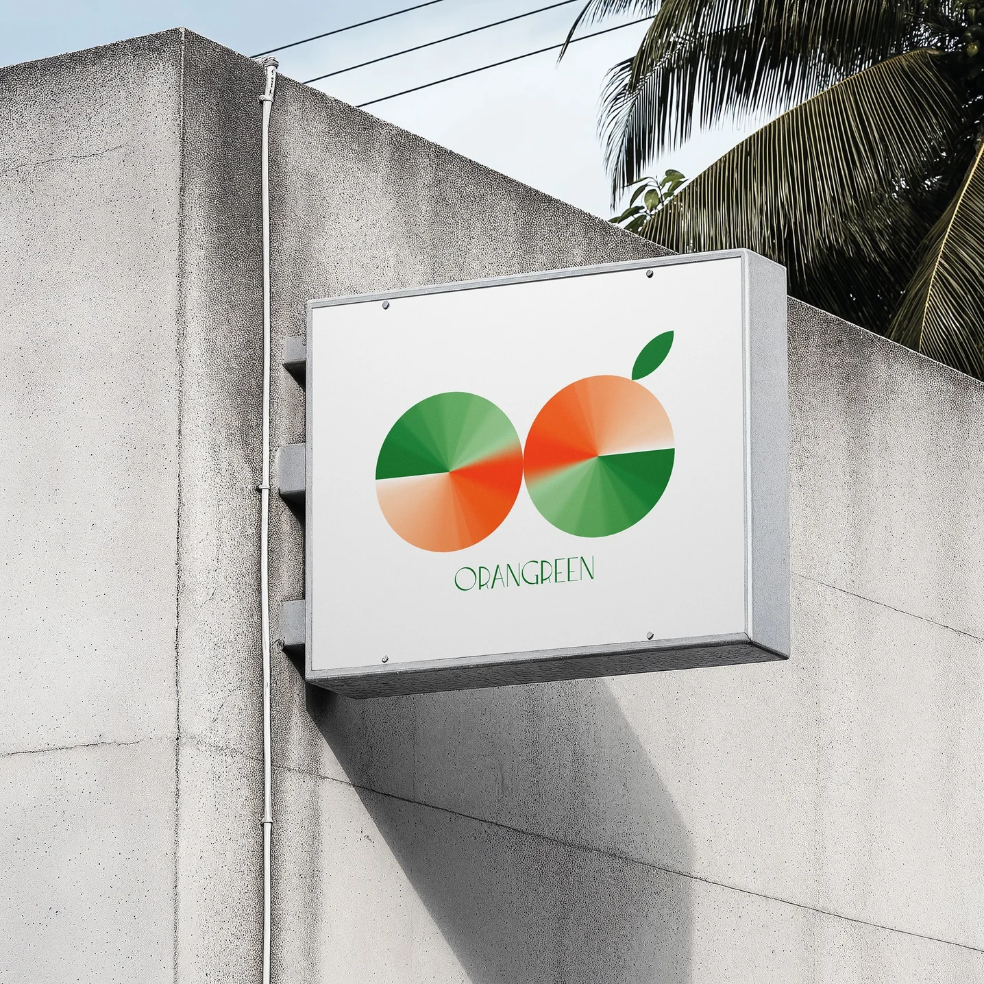 포트폴리오 메인이미지